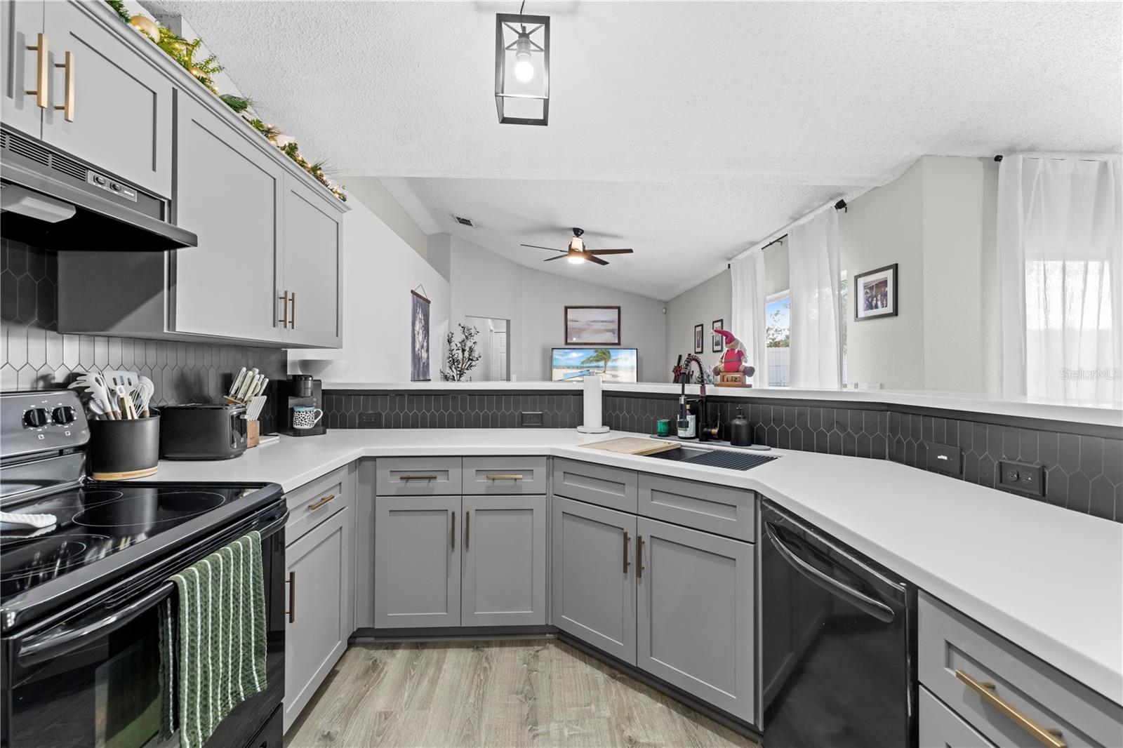 11224 ALLWOOD ST, SPRING HILL, FL, 34609