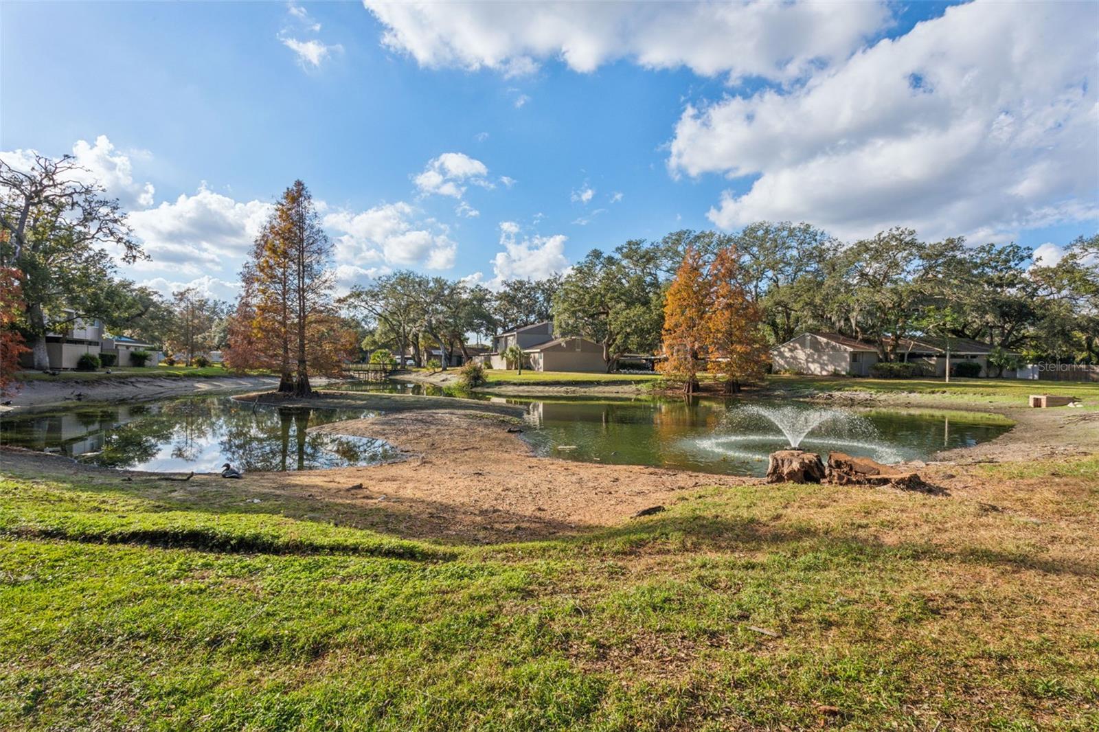 7901 SUGARCANE CT, TEMPLE TERRACE, FL, 33637