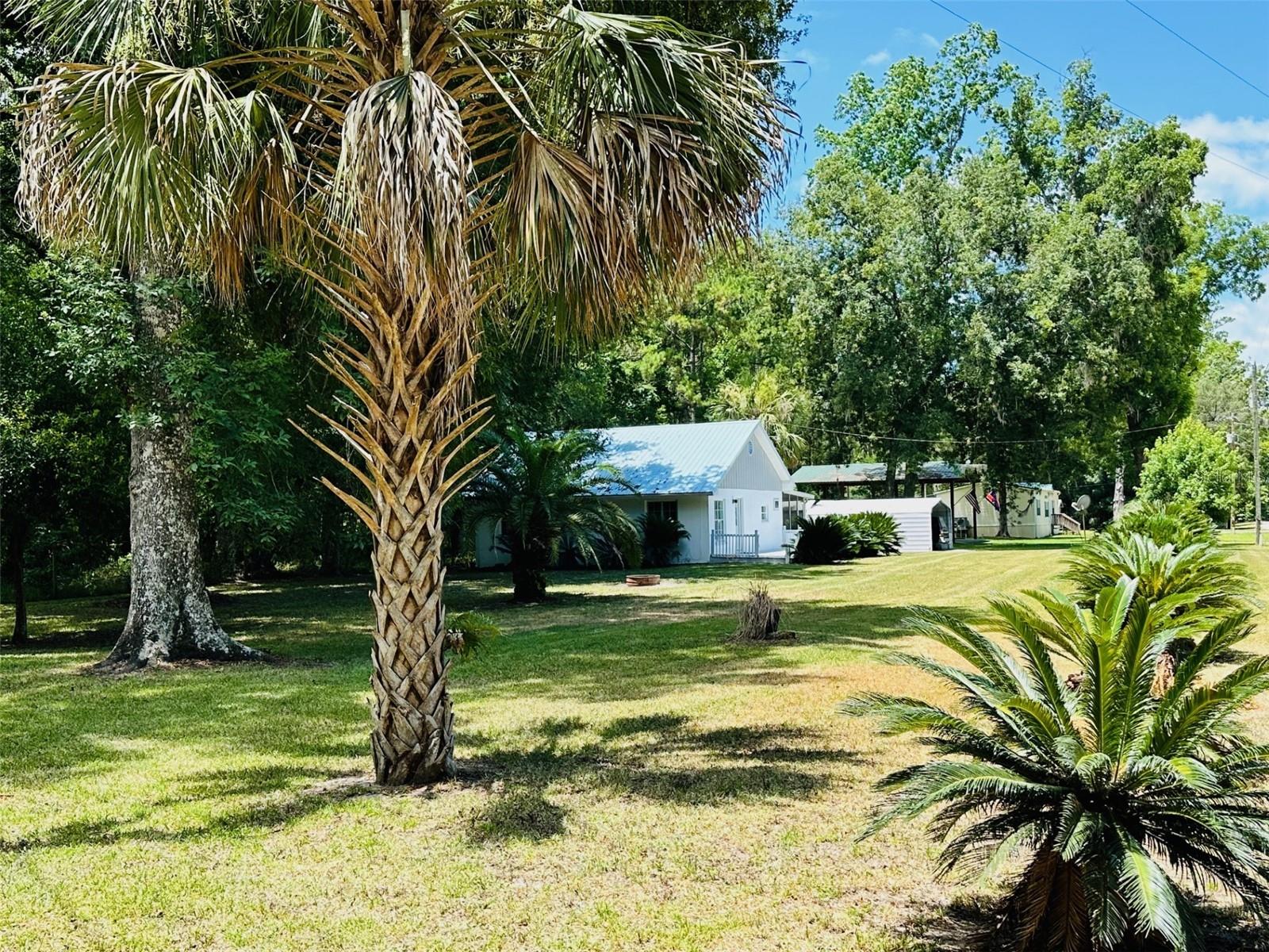 2670 SE 68TH ST, INGLIS, FL, 34449
