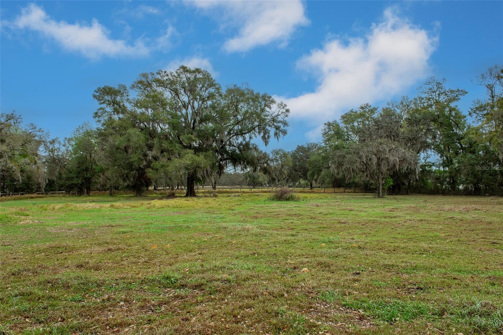 7115 SW 80TH AVE, OCALA, FL, 34481