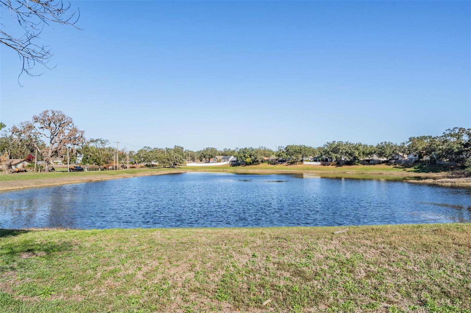 727 GRAND CANYON DR, VALRICO, FL, 33594
