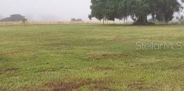 10359 COUNTY ROAD 555, FORT MEADE, FL, 33841