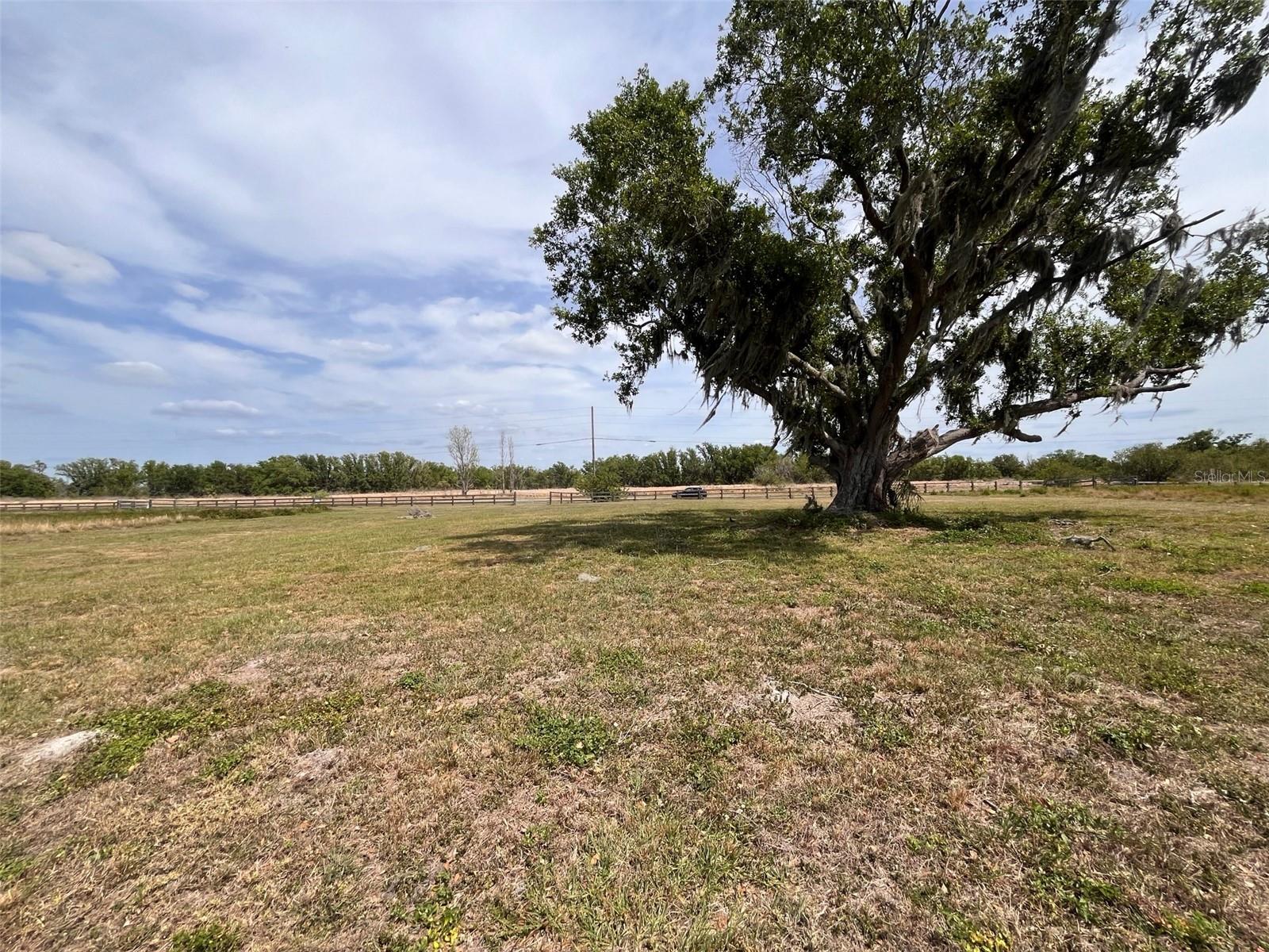 10359 COUNTY ROAD 555, FORT MEADE, FL, 33841