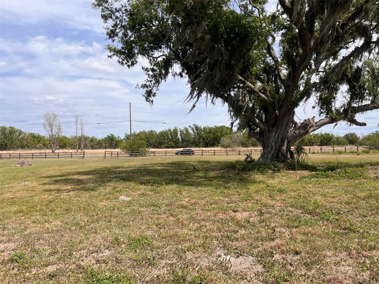 10359 COUNTY ROAD 555, FORT MEADE, FL, 33841