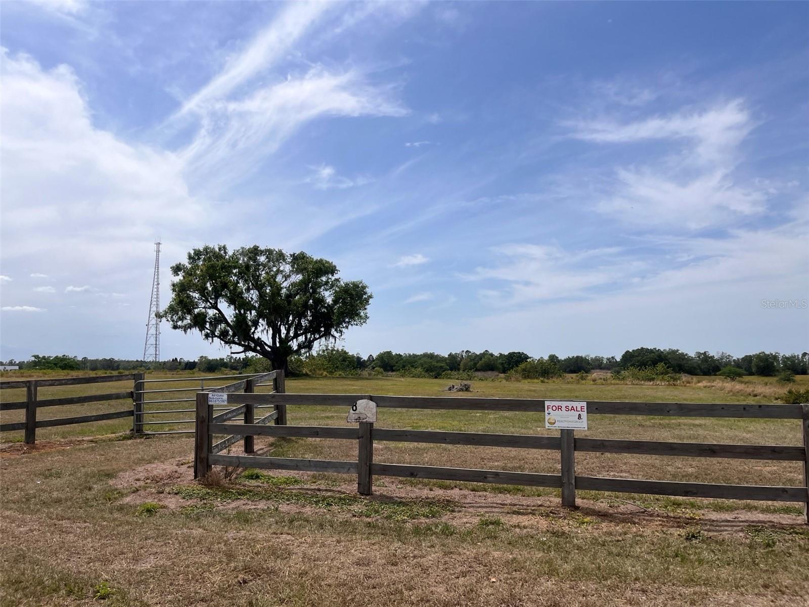 10359 COUNTY ROAD 555, FORT MEADE, FL, 33841