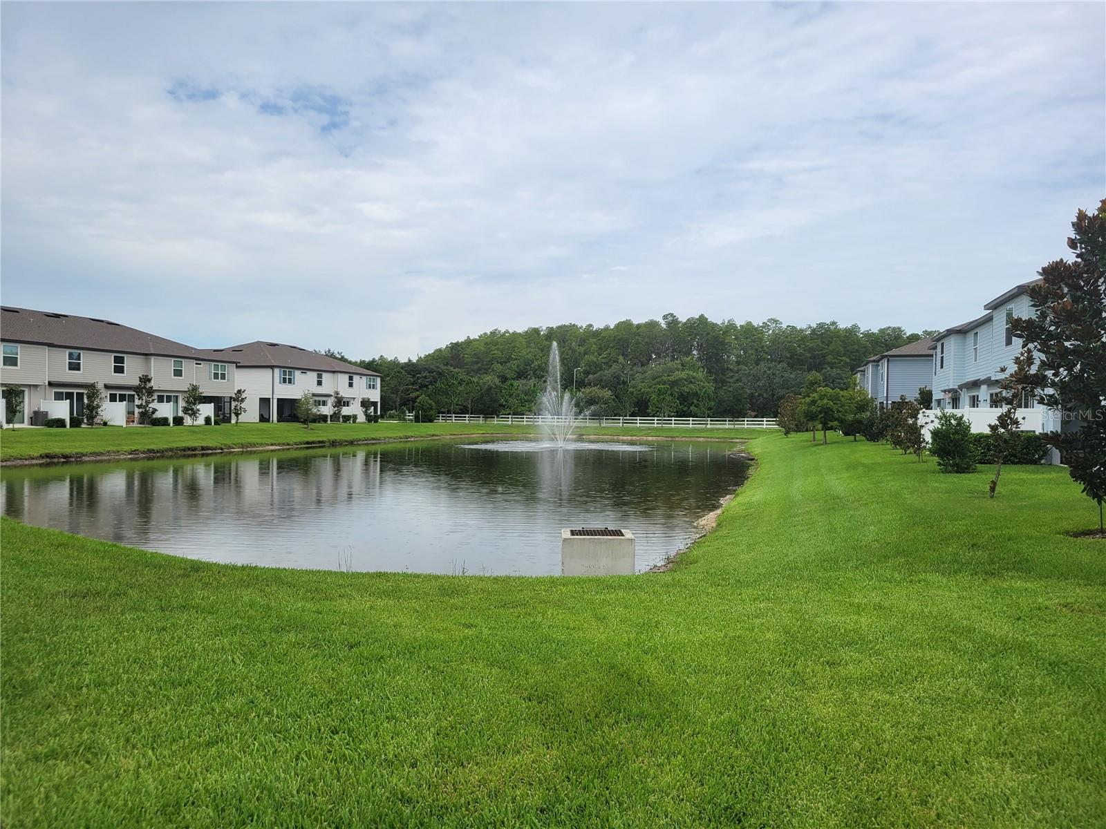 19626 SHADY OAK DR, LAND O LAKES, FL, 34638