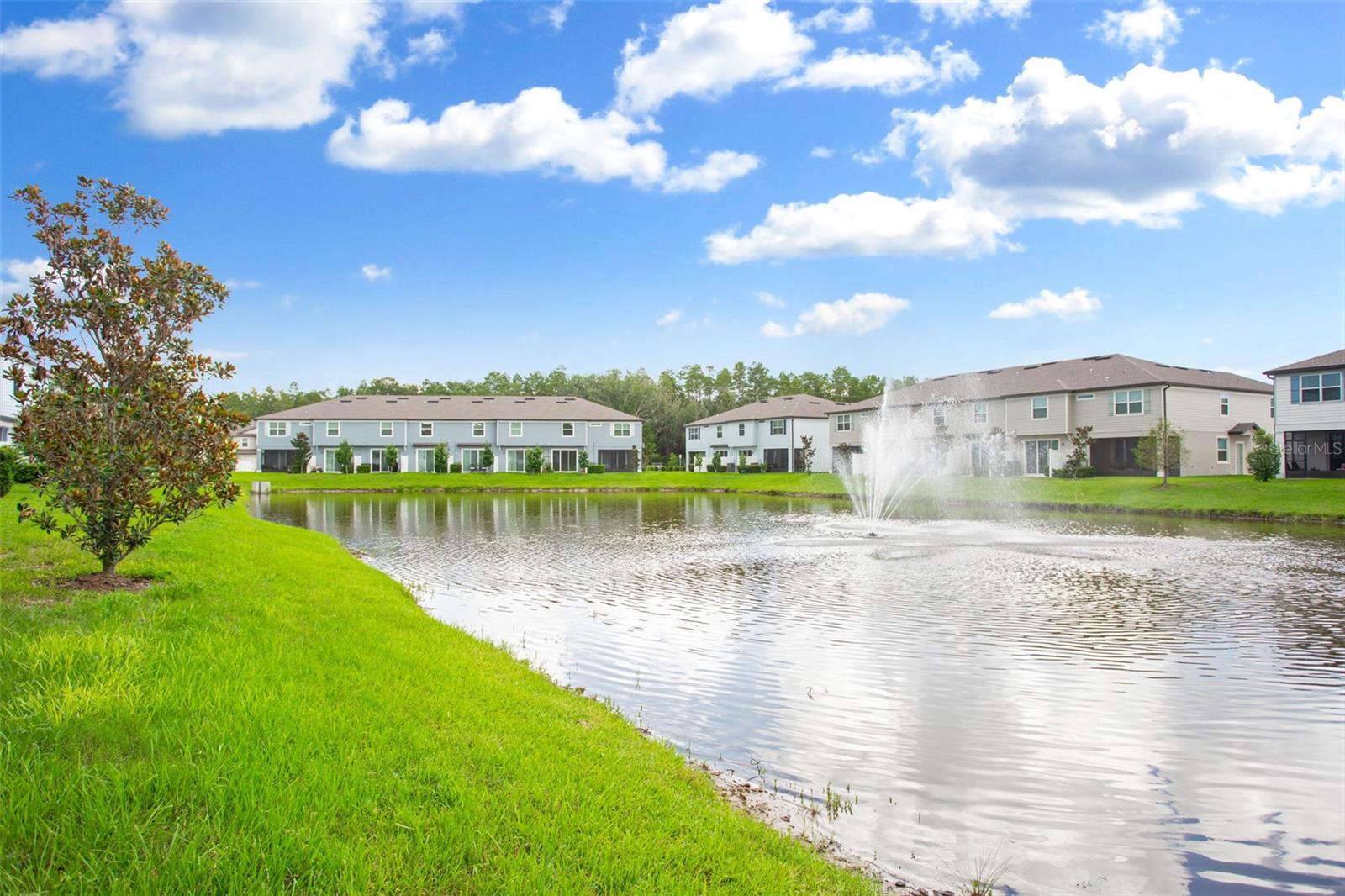 19626 SHADY OAK DR, LAND O LAKES, FL, 34638