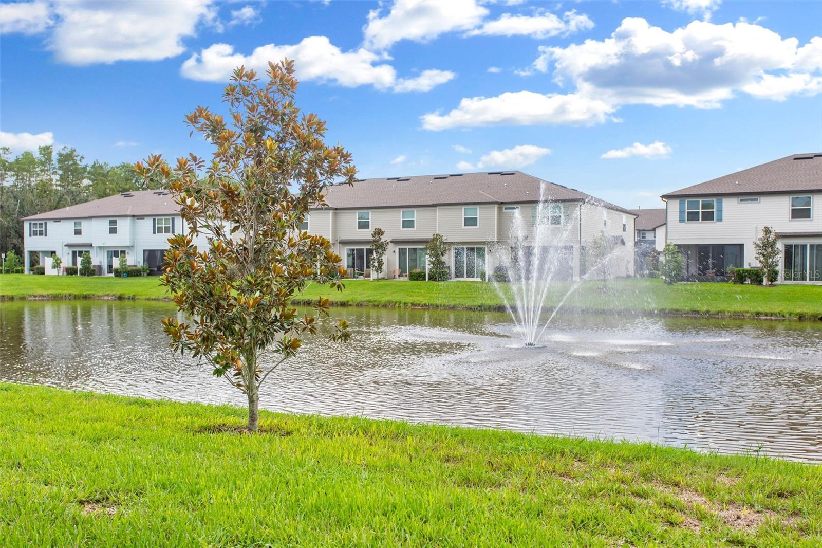 19626 SHADY OAK DR, LAND O LAKES, FL, 34638