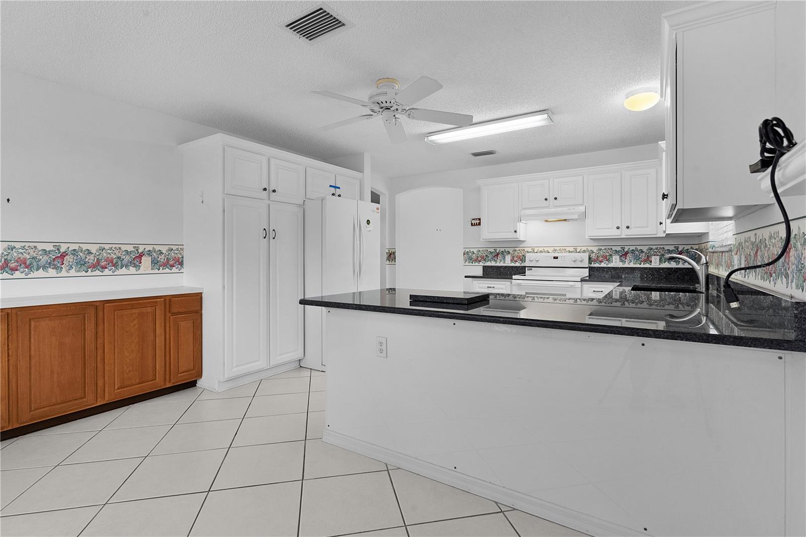 2570 CARIBE DR, THE VILLAGES, FL, 32162