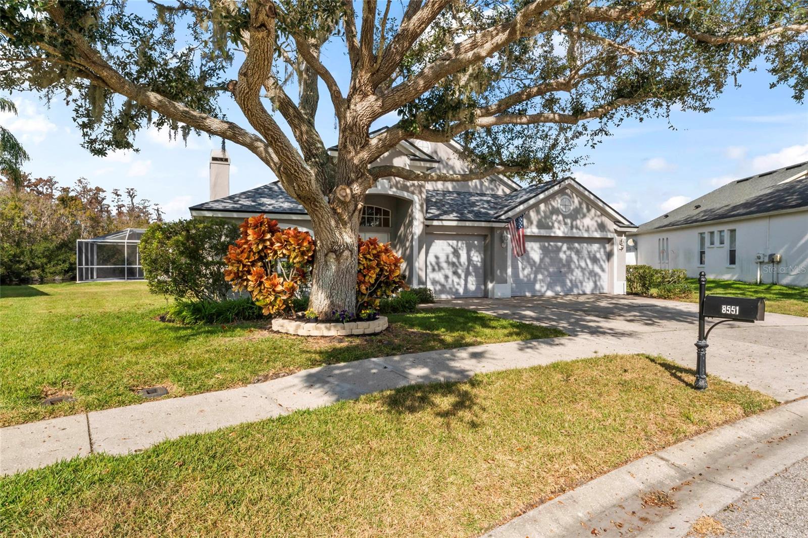 8551 LINEBROOK DR, TRINITY, FL, 34655