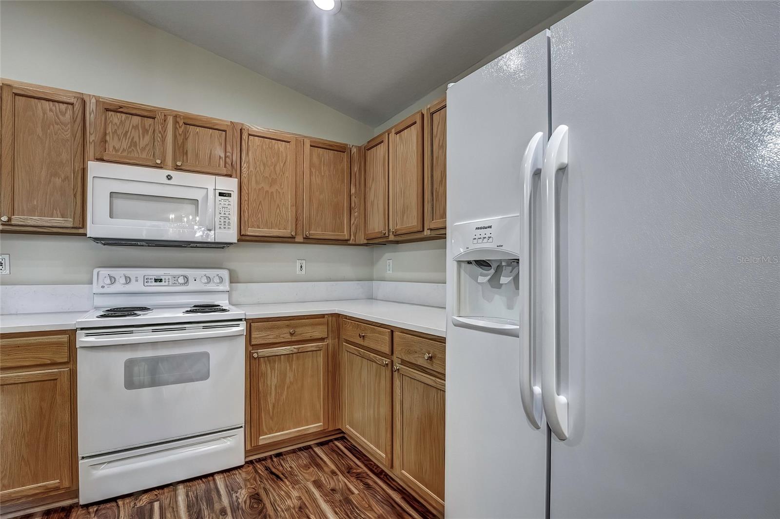 20538 HOMOSSASA CT, LAND O LAKES, FL, 34637