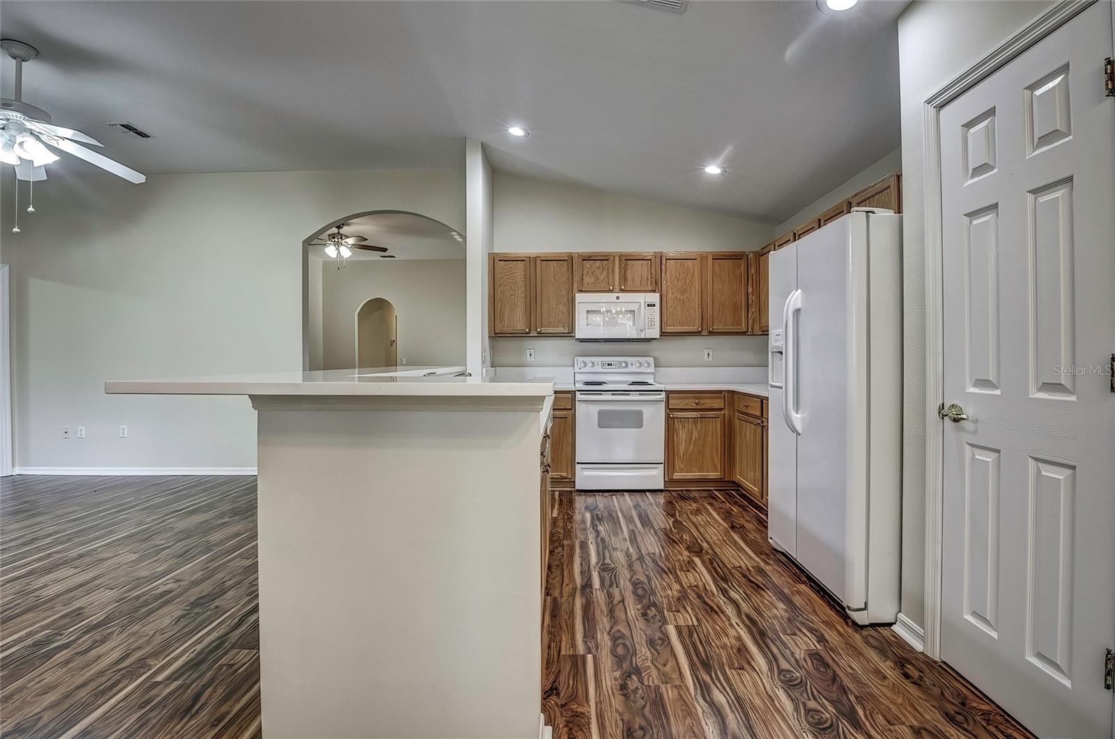 20538 HOMOSSASA CT, LAND O LAKES, FL, 34637