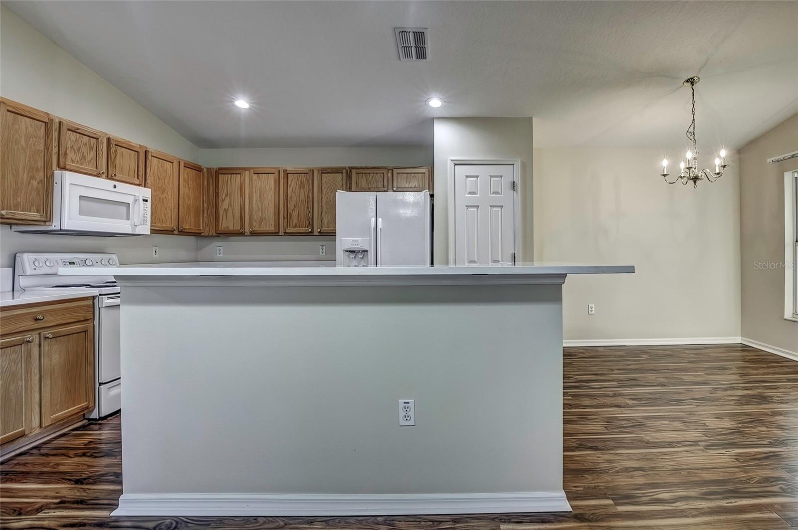 20538 HOMOSSASA CT, LAND O LAKES, FL, 34637