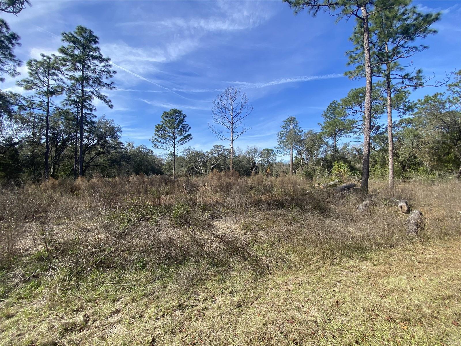 TBD SW HYACINTH CT, DUNNELLON, FL, 34431