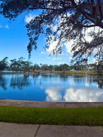 336 SHADDOCK ST, TARPON SPRINGS, FL, 34689