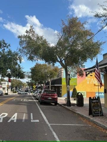 336 SHADDOCK ST, TARPON SPRINGS, FL, 34689