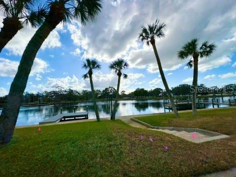 336 SHADDOCK ST, TARPON SPRINGS, FL, 34689