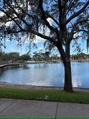 336 SHADDOCK ST, TARPON SPRINGS, FL, 34689