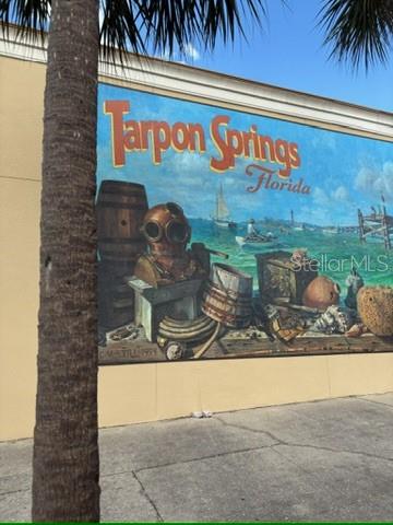 336 SHADDOCK ST, TARPON SPRINGS, FL, 34689