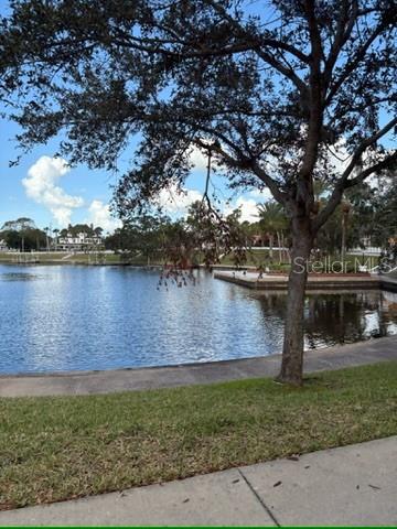 336 SHADDOCK ST, TARPON SPRINGS, FL, 34689