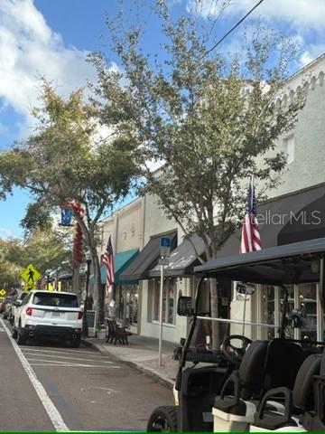 336 SHADDOCK ST, TARPON SPRINGS, FL, 34689