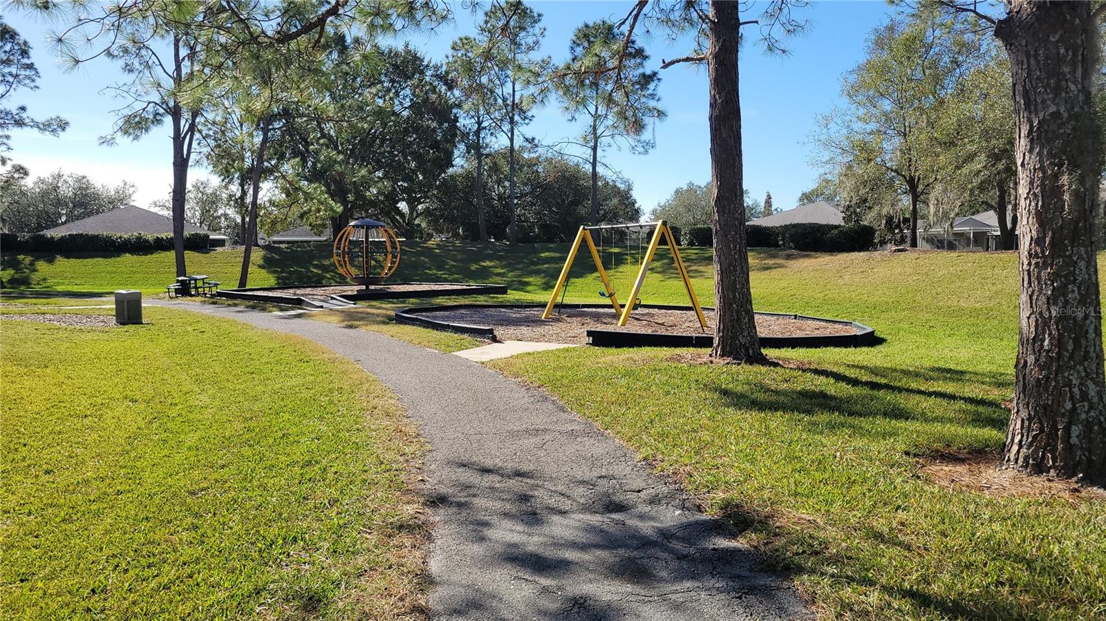 15119 HERONGLEN DR, LITHIA, FL, 33547