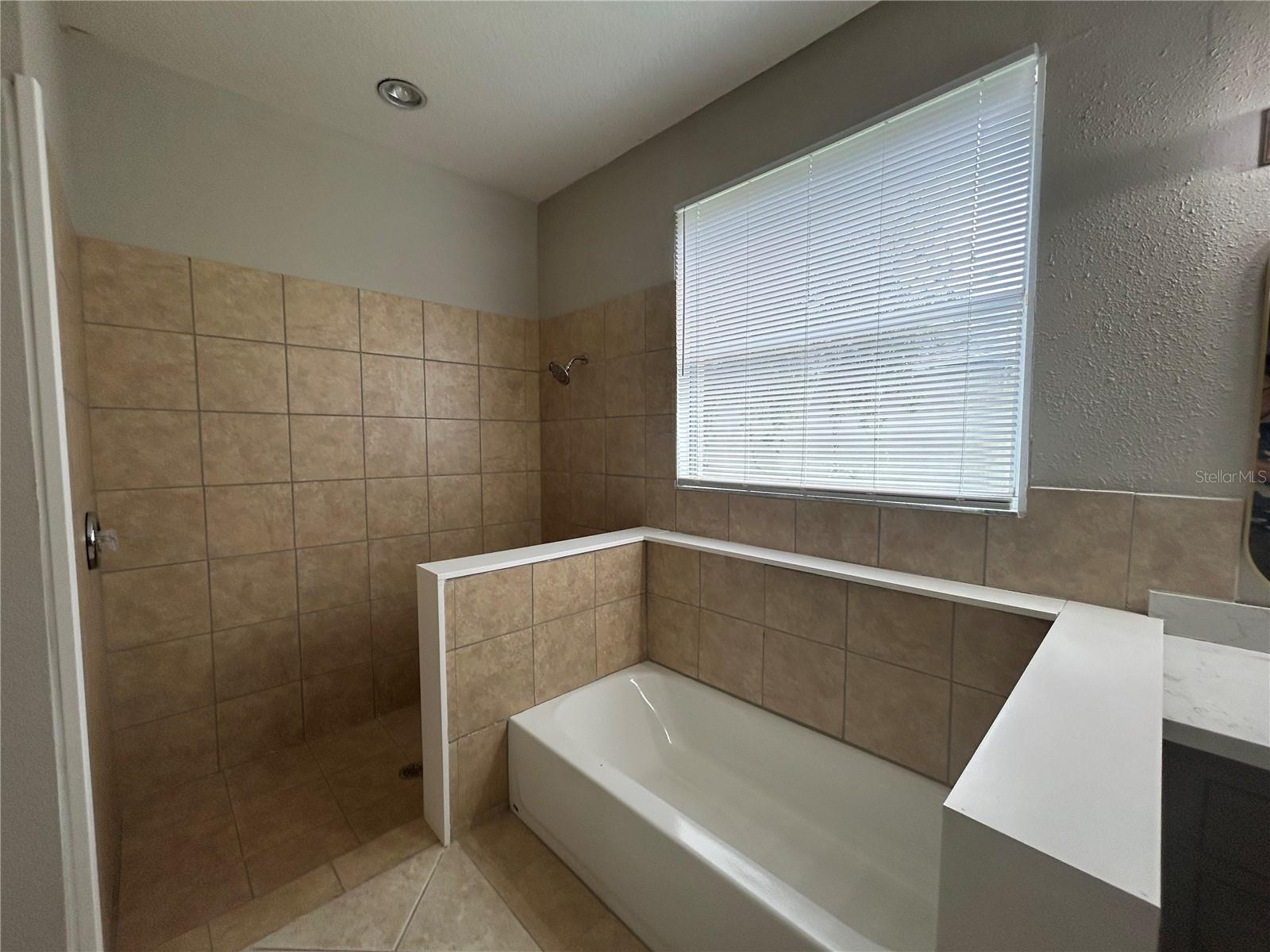 15119 HERONGLEN DR, LITHIA, FL, 33547