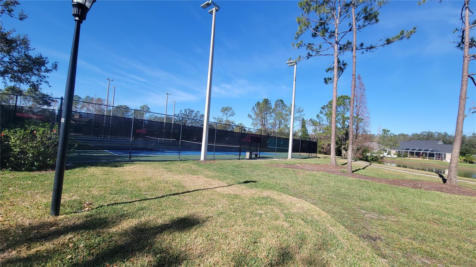 15119 HERONGLEN DR, LITHIA, FL, 33547