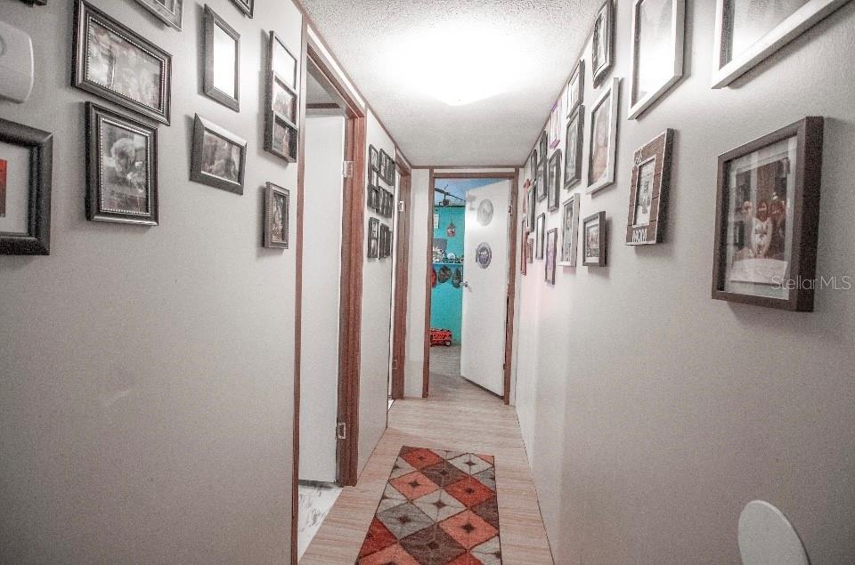 110 RABBIT TRACK RD, SATSUMA, FL, 32189