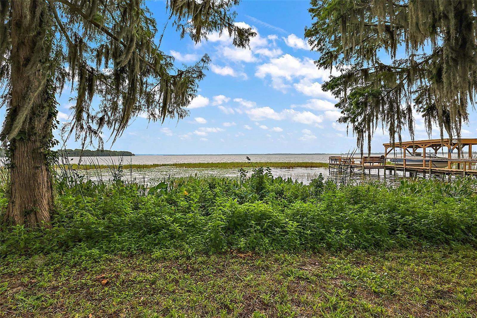 31035 COVE RD, TAVARES, FL, 32778