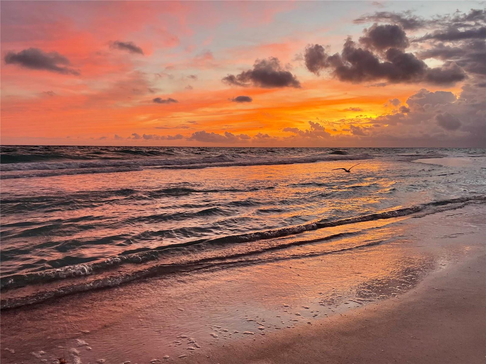 4621 GULF OF MEXICO DR #D10, LONGBOAT KEY, FL, 34228