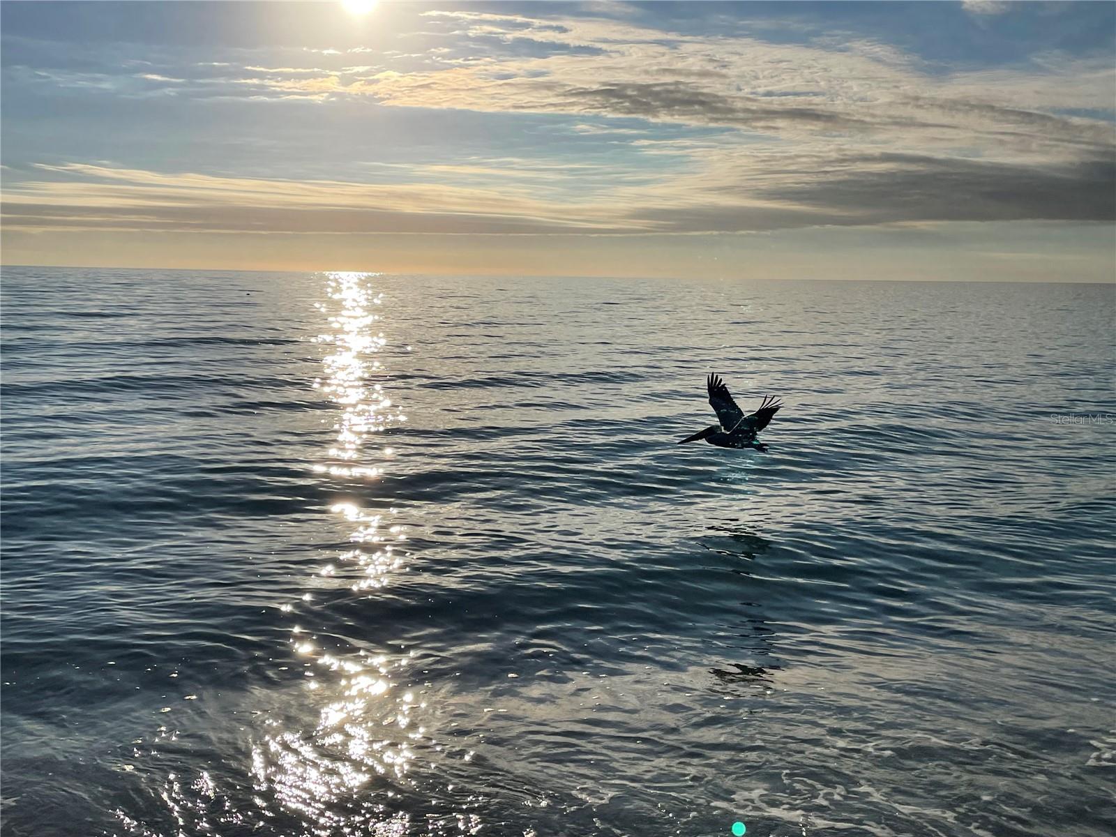 4621 GULF OF MEXICO DR #D10, LONGBOAT KEY, FL, 34228