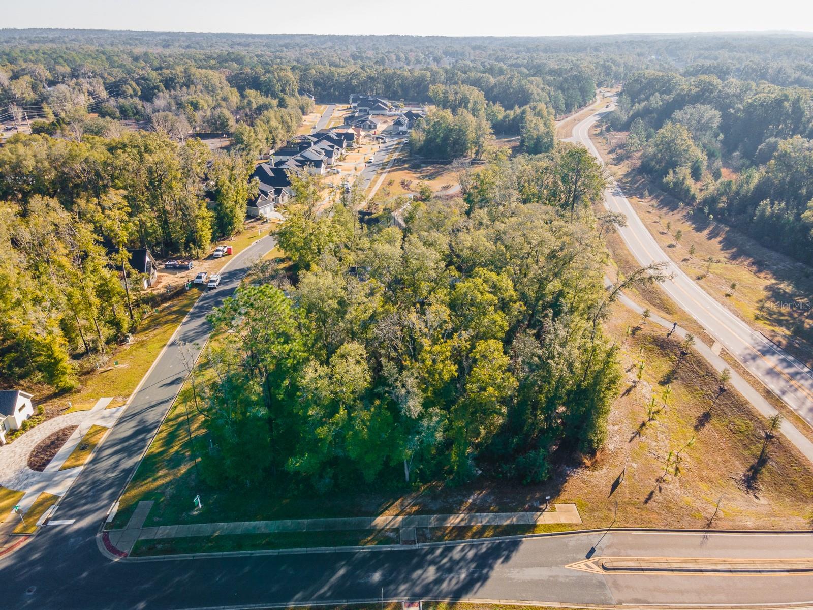 14117 SW 7TH PL, NEWBERRY, FL, 32669