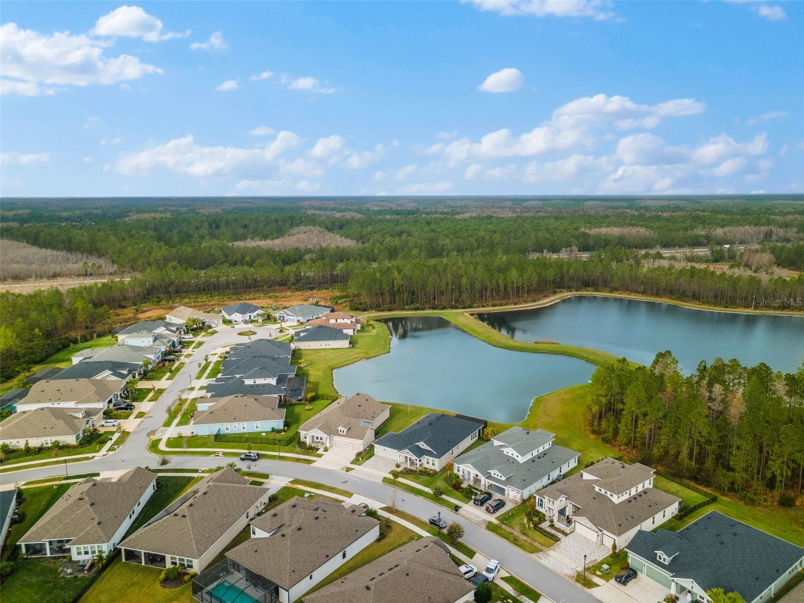 3568 TOUR TRCE, LAND O LAKES, FL, 34638
