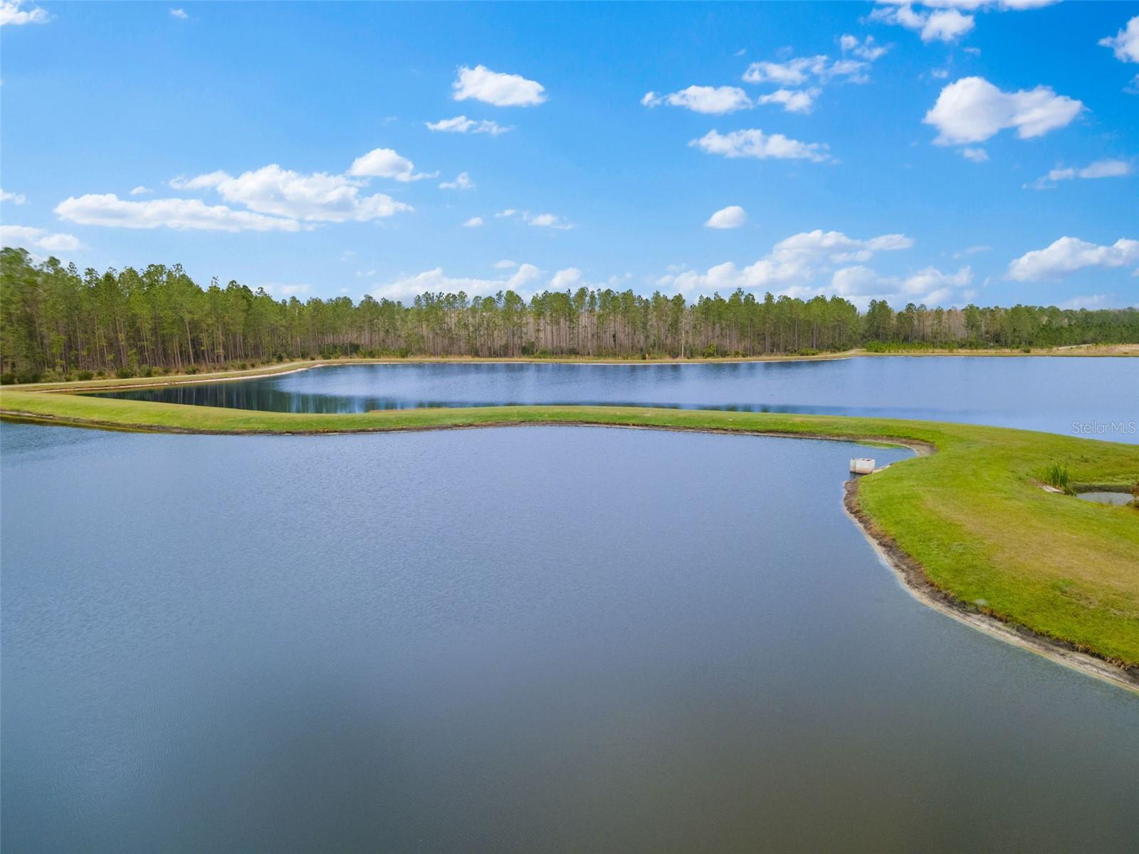3568 TOUR TRCE, LAND O LAKES, FL, 34638