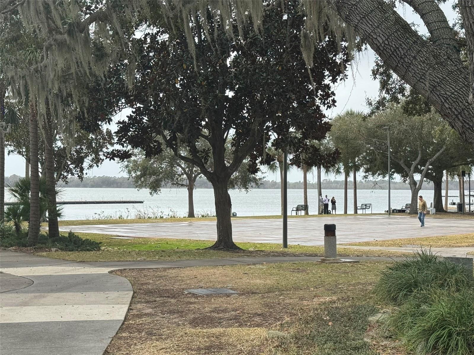1001 MICHELLE CT, TAVARES, FL, 32778