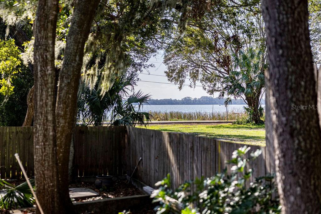 1001 MICHELLE CT, TAVARES, FL, 32778