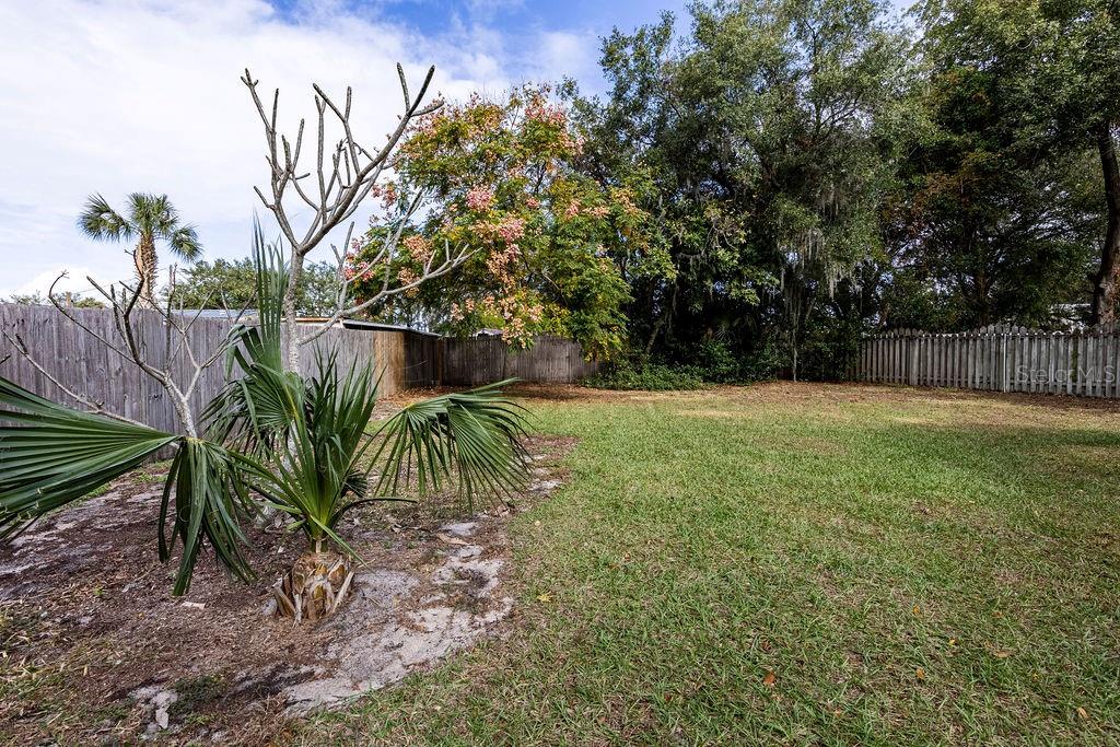 1001 MICHELLE CT, TAVARES, FL, 32778