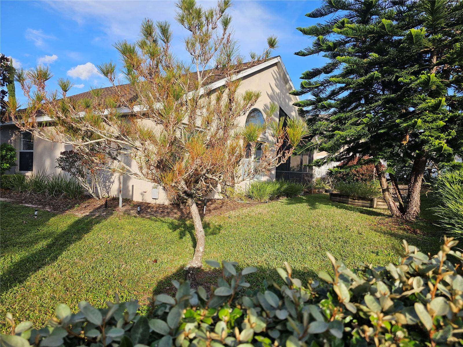 15448 BAY VISTA DR, CLERMONT, FL, 34714