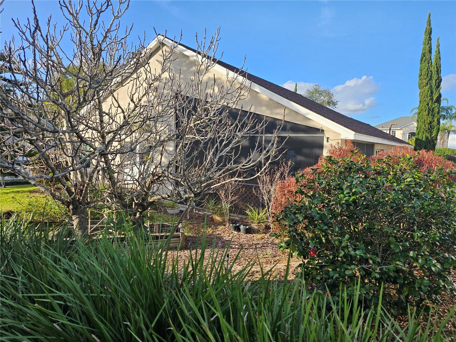 15448 BAY VISTA DR, CLERMONT, FL, 34714