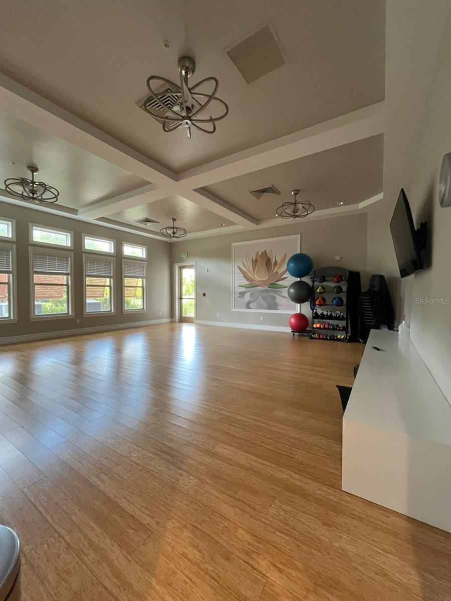 17562 BLAZING STAR CIR, CLERMONT, FL, 34714