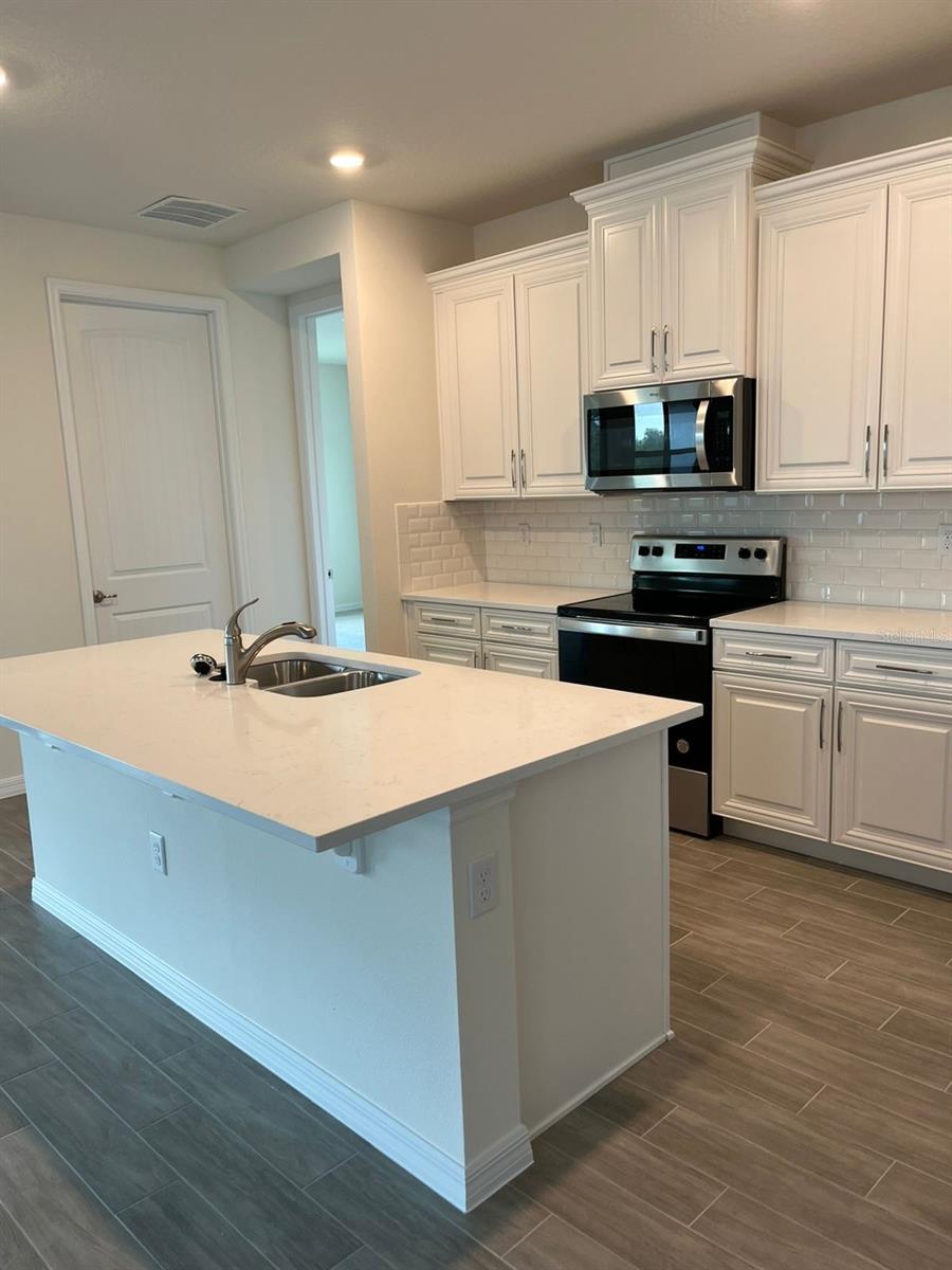 17562 BLAZING STAR CIR, CLERMONT, FL, 34714