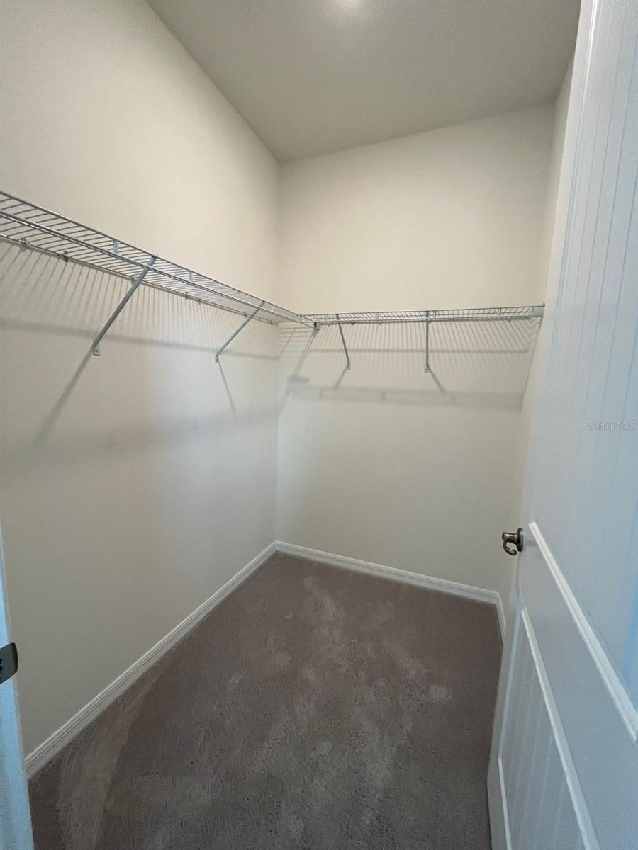 17562 BLAZING STAR CIR, CLERMONT, FL, 34714