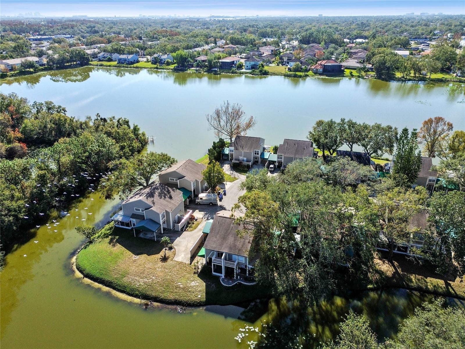 6909 LAKE PLACE CT, TAMPA, FL, 33634