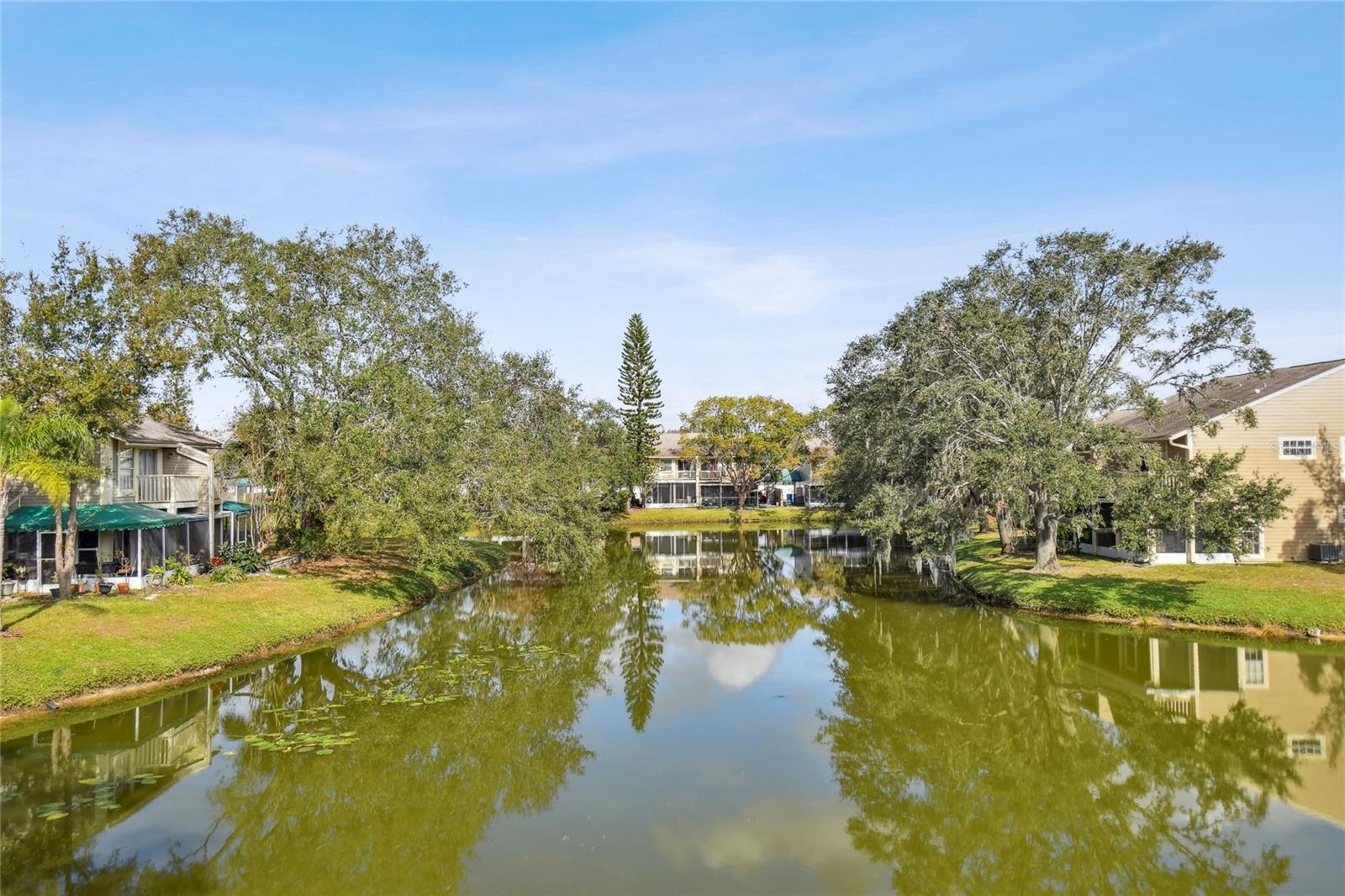 6909 LAKE PLACE CT, TAMPA, FL, 33634