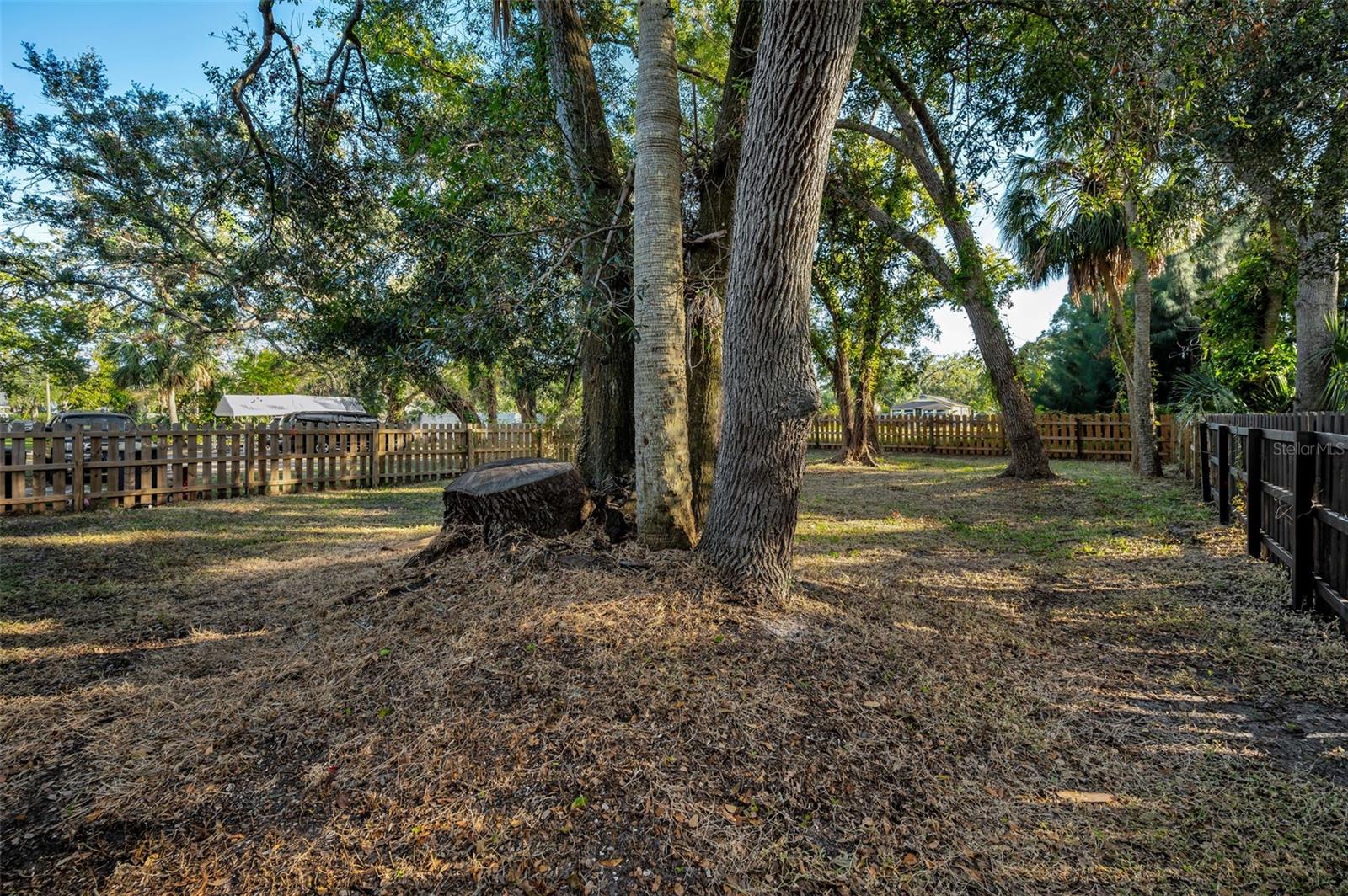 909 PALMETTO ST, CLEARWATER, FL, 33755