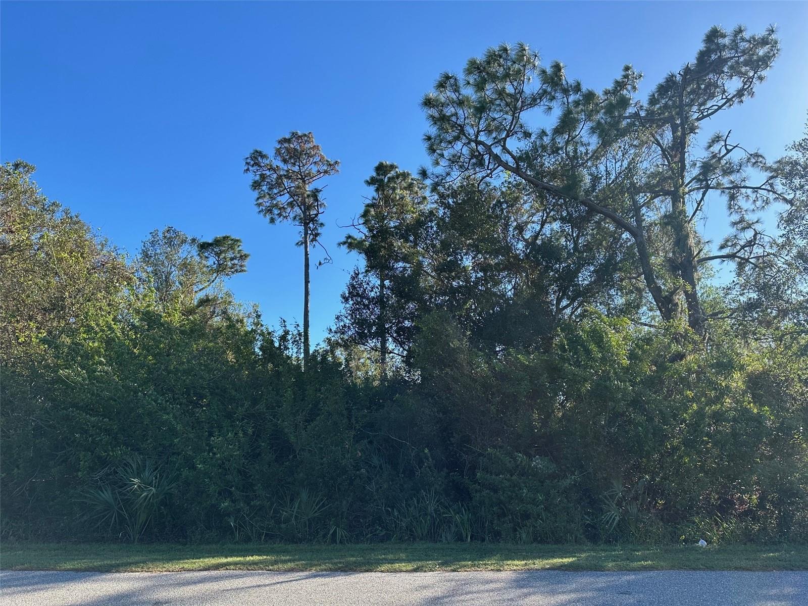 17525 ELMWOOD AVE, PORT CHARLOTTE, FL, 33948