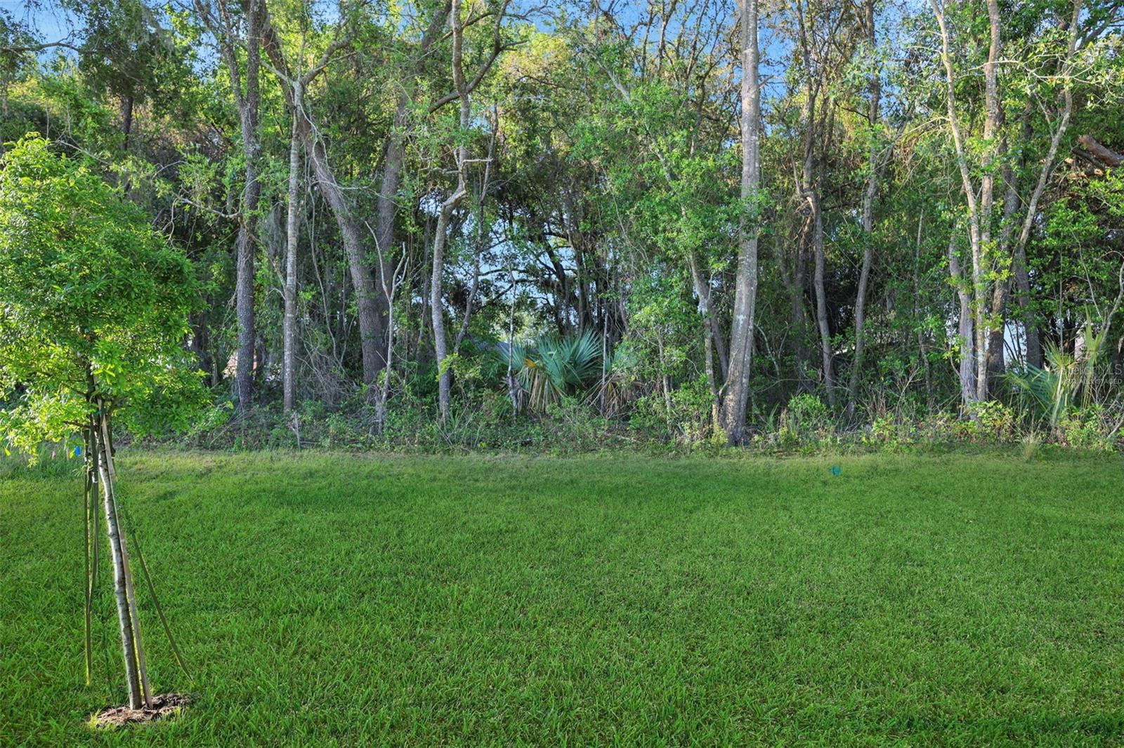 2992 SUPERMARINE RD, TAVARES, FL, 32778