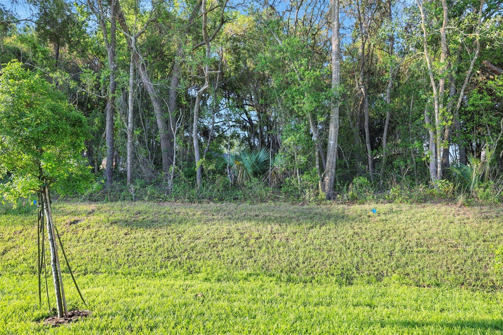 2992 SUPERMARINE RD, TAVARES, FL, 32778