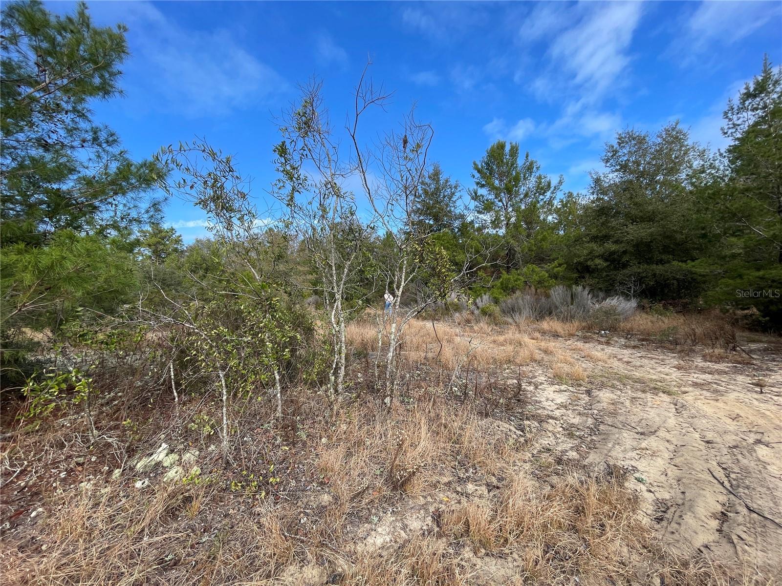 STATE ROAD 20, INTERLACHEN, FL, 32148